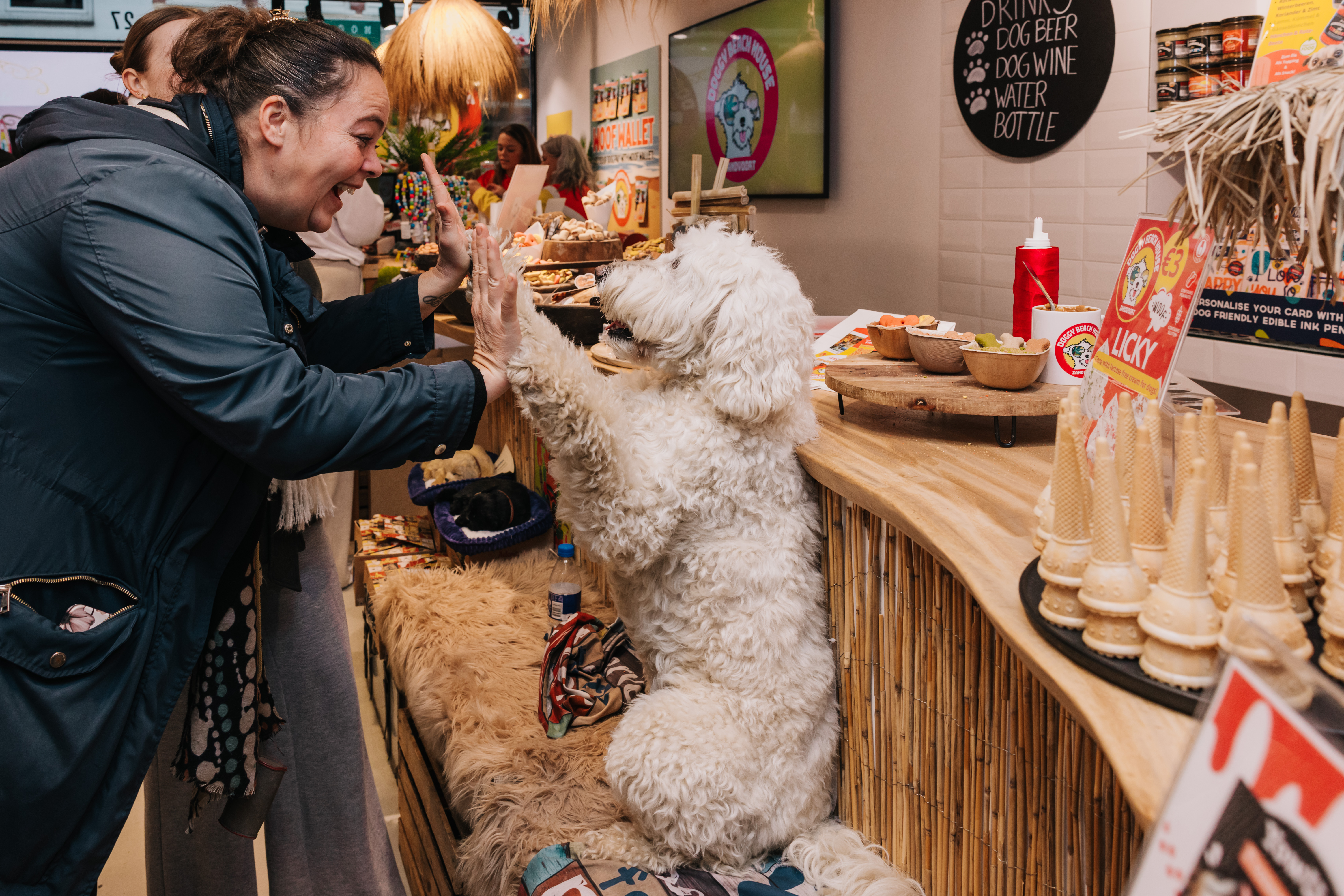 Behind the Scenes at Doggy Beach House: A Dog Store, You’ve Never Seen Before!