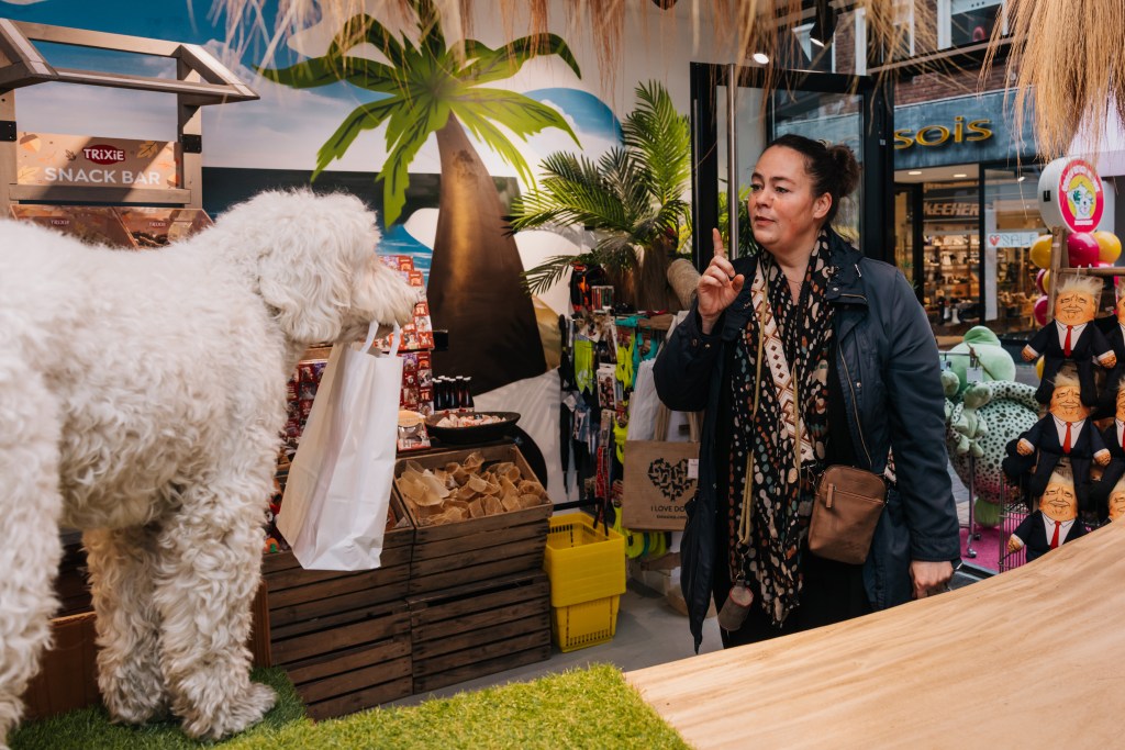 Dog store in Zandvoort