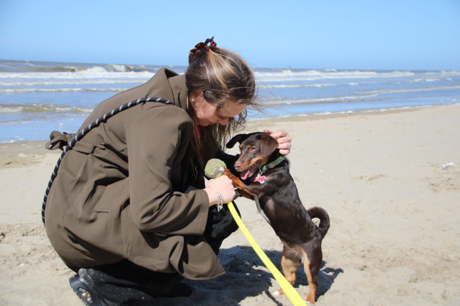 Beach Safety for Dogs: What Every Owner Should Know